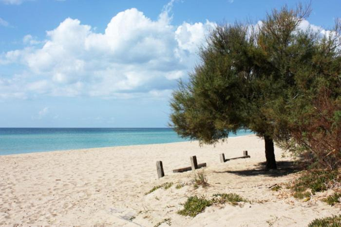 Others 3, Villa tra gli ulivi, Taranto