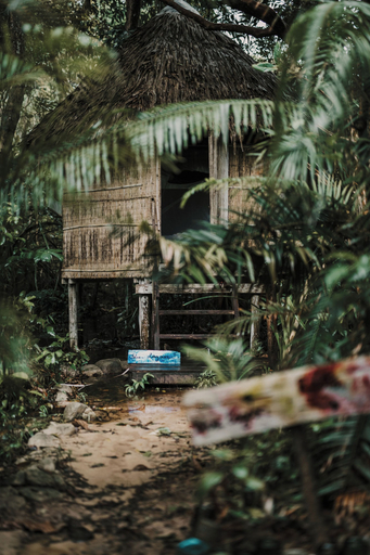 Room 5, Kactus Your Island Sanctuary In Cambodia, Prey Nob