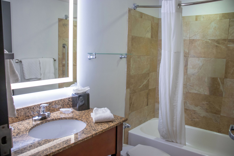 Bathroom 4, Wyndham Bloomington - Mall Of America, Hennepin