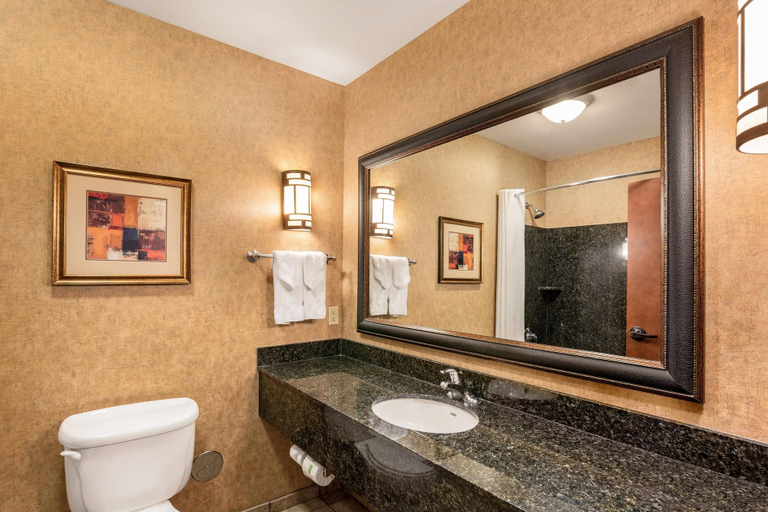 Bathroom 4, Comfort Suites Moses Lake, Grant