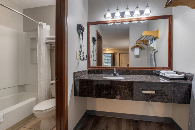 Bathroom 4, Best Western Acworth Inn, Cobb