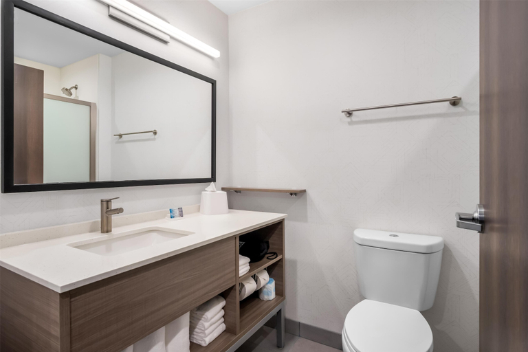 Bathroom 4, Home2 Suites by Hilton Irving / DFW Airport North, Irving