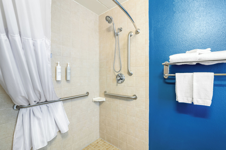 Bathroom 4, Spark by Hilton Roanoke Civic Center, Roanoke City
