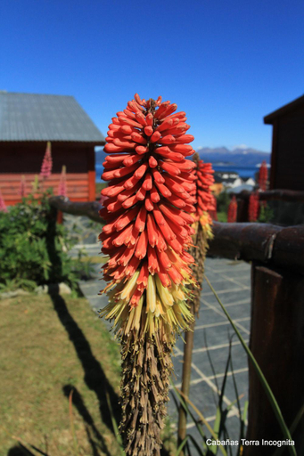 Others 5, Terra Incognita, Ushuaia