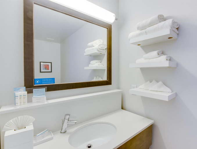 Bathroom 4, Hampton Inn White House, Robertson