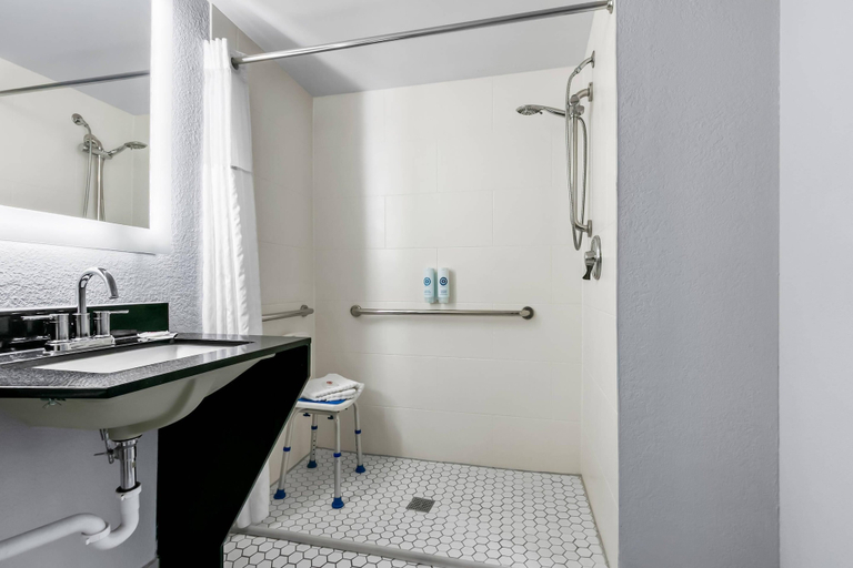 Bathroom 4, Comfort Inn & Suites Grand Blanc/Flint, Genesee