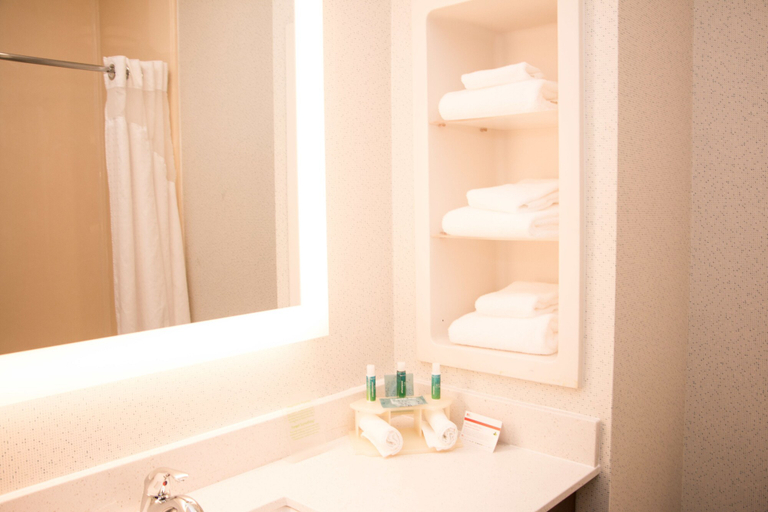 Bathroom 3, Comfort Inn & Suites Tyler North, Smith