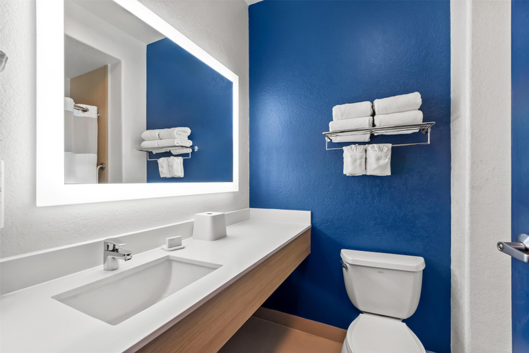 Bathroom 4, Spark by Hilton Selma, Bexar