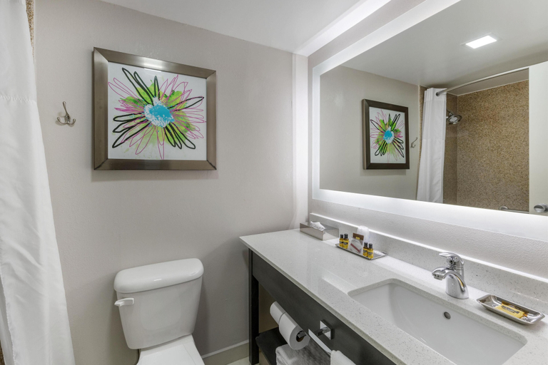 Bathroom 4, Best Western Plus Clemson Hotel & Conference Center, Pickens