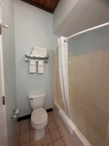 Bathroom 3, Pictured Rocks Inn & Suites, Alger