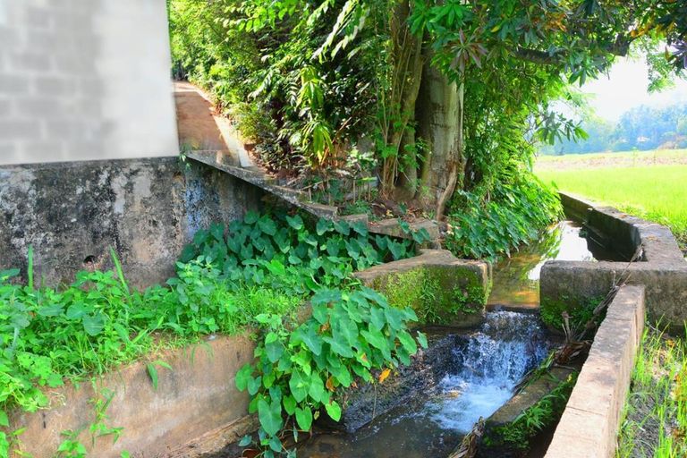 Others 5, Randeniya Rest inn please call befor e booking, Wellawaya