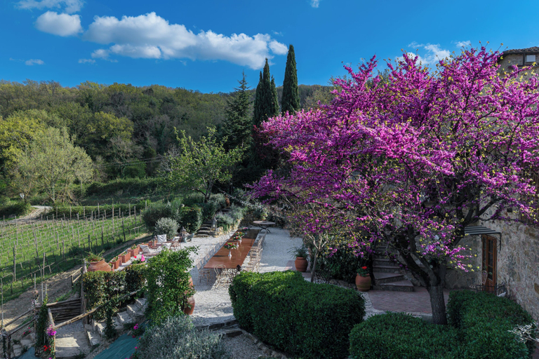 Outdoor dining 5, Villa Chianti With Exclusive Pool And Typical Barn, Florence