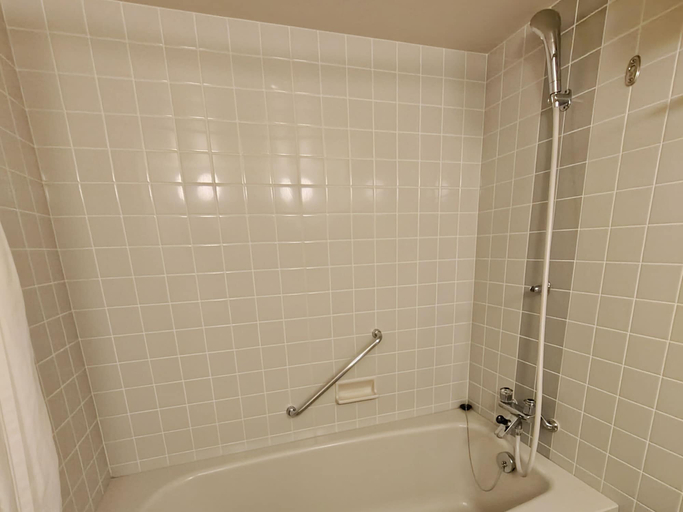 Bathroom 5, Rusutsu Resort Hotel & Convention, Rusutsu