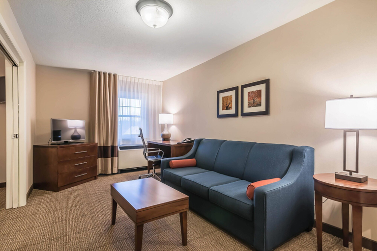 Others 5, Comfort Inn Concord South End, Merrimack