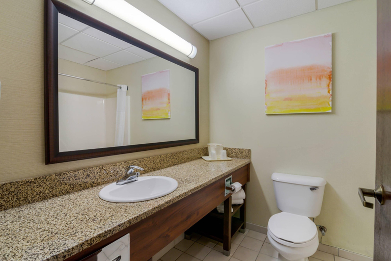 Bathroom 5, Comfort Inn Bismarck, Burleigh