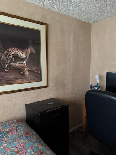 Room 4, Bridgeton suites, El Paso