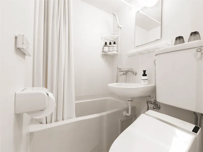 Bathroom, Hop Inn Tokyo Iidabashi, Shinjuku