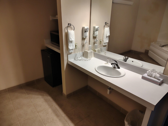 Bathroom 5, Western Executive Inn, Yellowstone