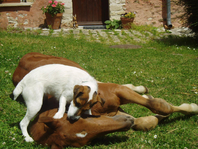 Others 2, La Ferme Rose, Val-d'Oise