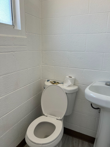 Bathroom 4, Carl's Motel, Kern