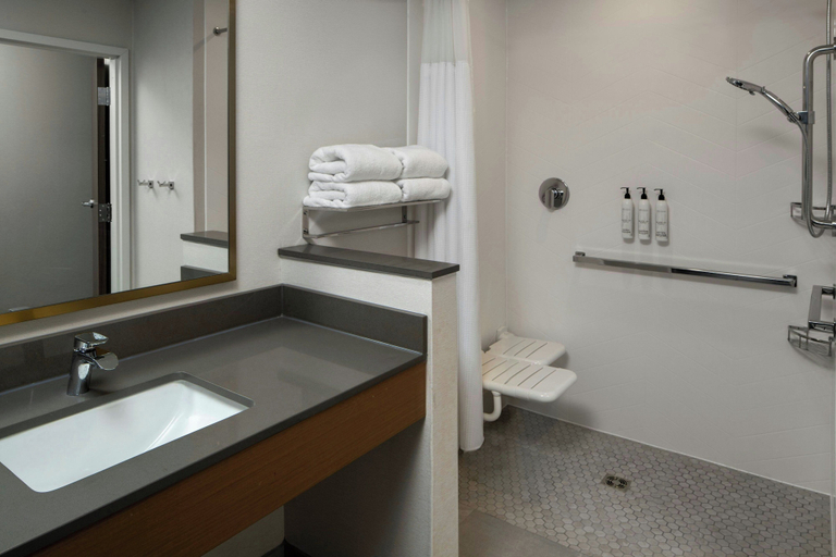 Bathroom 4, Fairfield By Marriott Inn & Suites Foley, Baldwin