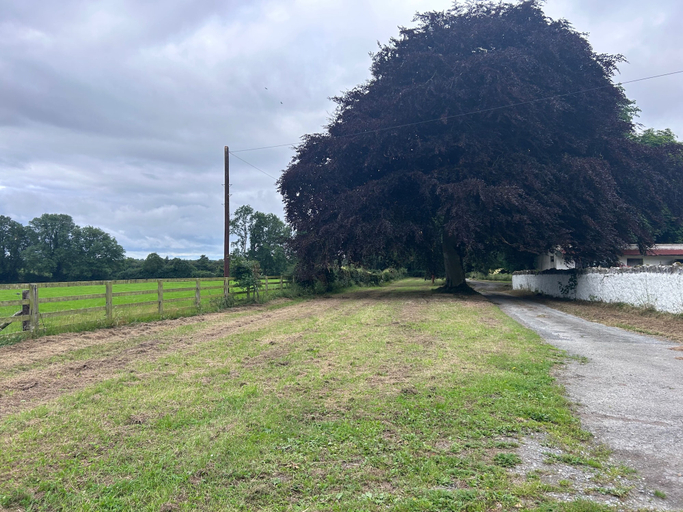 Miscellaneous 5, Kilkenny Organic Farm 2-bed Apt, Sleeps 4, Parking