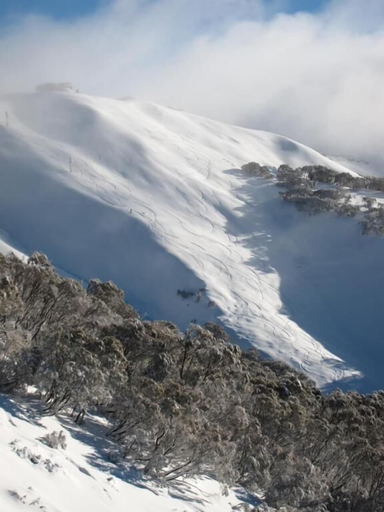 Snow and ski sports, Harrietville Snowline Hotel, Alpine - East