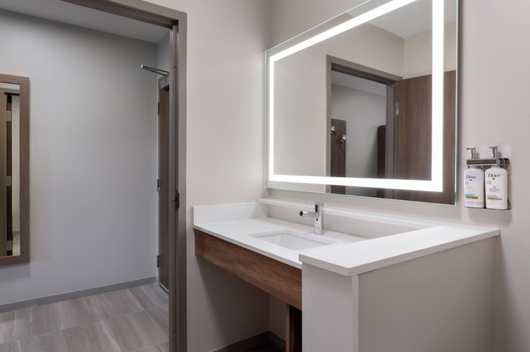 Bathroom 5, Holiday Inn Express & Suites PITTSFIELD - BERKSHIRES, Berkshire