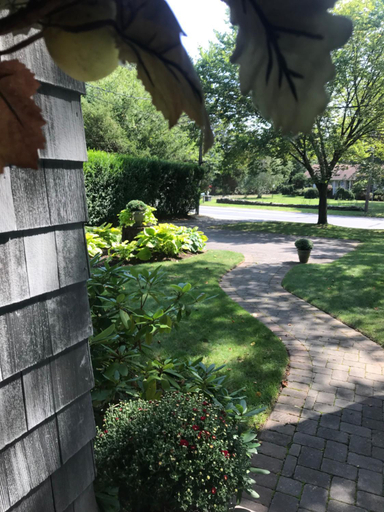 Others
