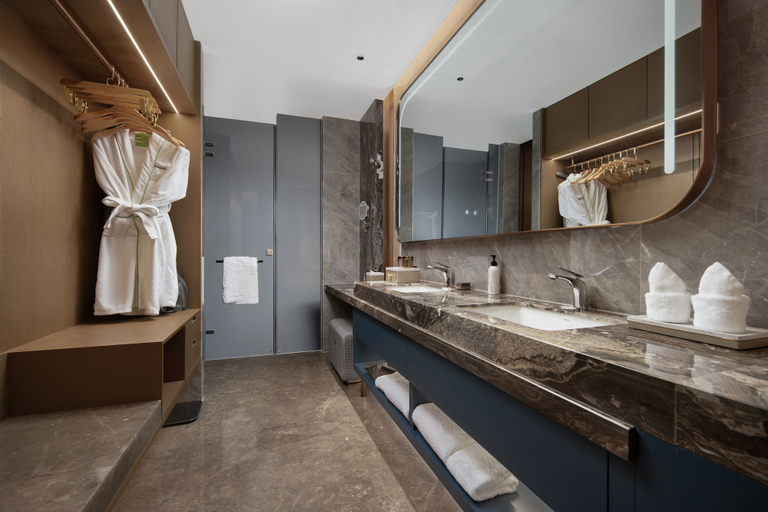 Bathroom 4, Wyndham Garden Urumqi Innovation Square, Ürümqi