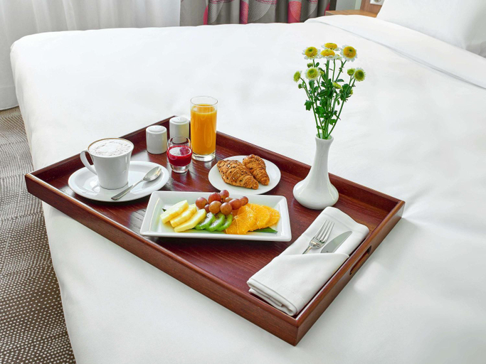 Others 4, Novotel Moscow Kievskaya, Central