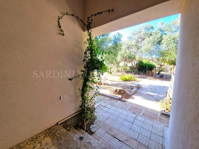 Others 5, Residenza Palm Tree 800 m from Rena Bianca beach with private parking, Olbia-Tempio