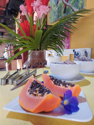 Food & Drinks 4, Hospedaria Da Nadia, Parati