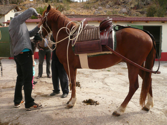 Others 3, Fundo Chincheros Lodge, Puno