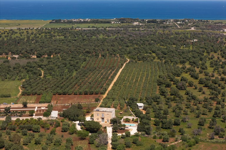 Room 5, Masseria Pezza La Spina, Brindisi