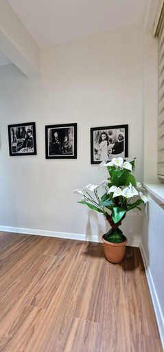 Others 5, Arkle Apartment 6, Tiranës