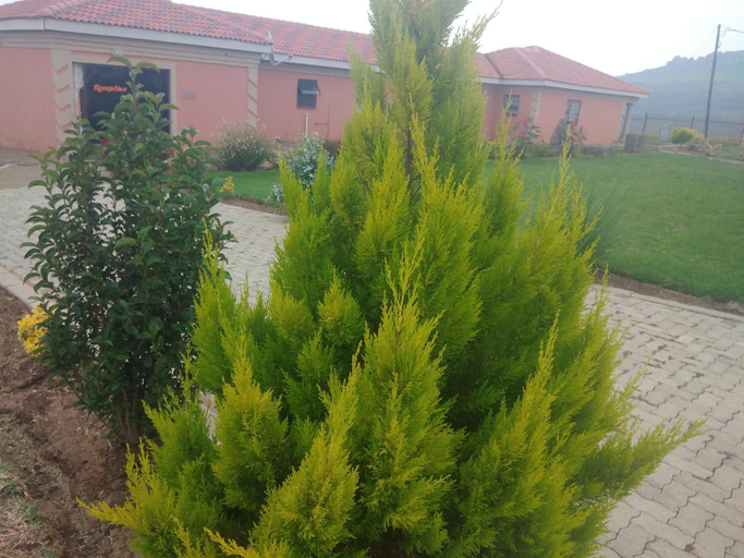 Others 3, Twilight Breeze Lodge, Thabo Mofutsanyane