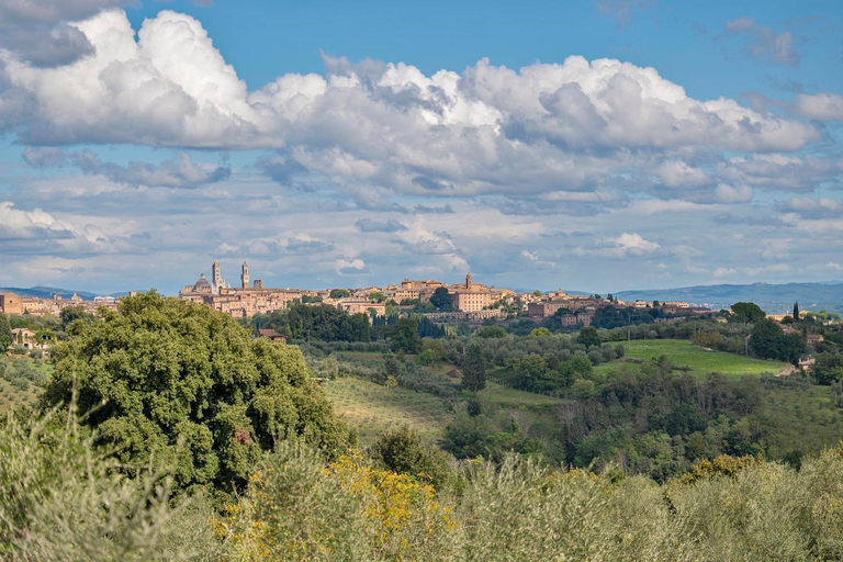 Others 4, Villa Mami - Boutique Suites Adults Only, Siena
