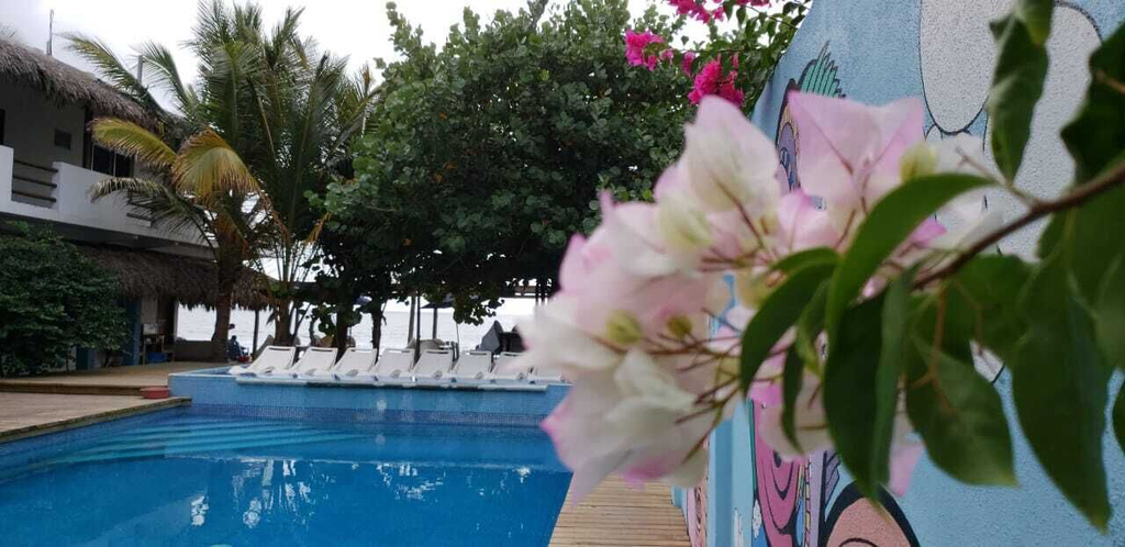 Others 3, Hotel Playa Zipolite, Dist. Pochutla