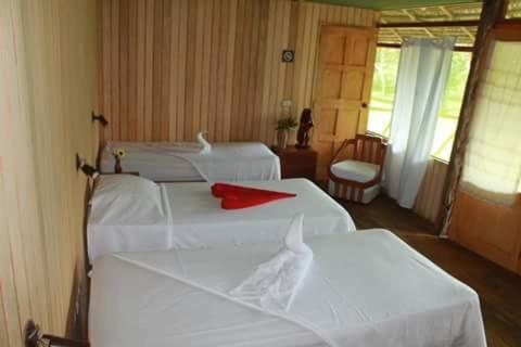Others 5, amazon jaguar lodge, Maynas