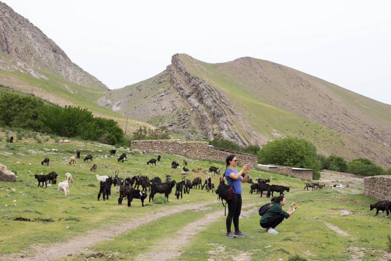 Others 4, Komil`s homestay in Sentyab village, Nurota