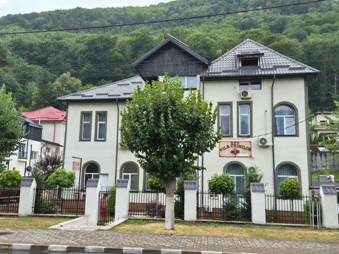 Others 5, Vila Crinilor, Calimanesti