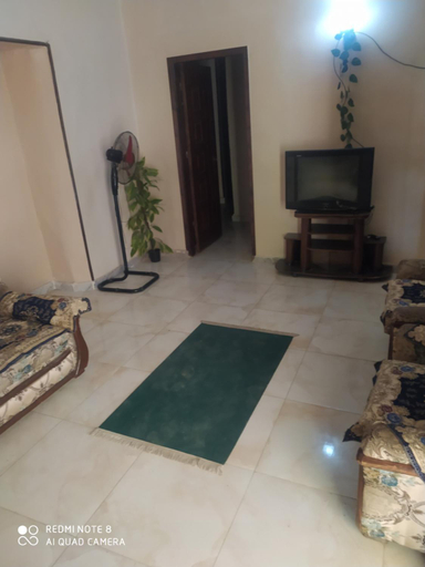 Others 5, Zizo fayed, Unorganized in Al Jizah