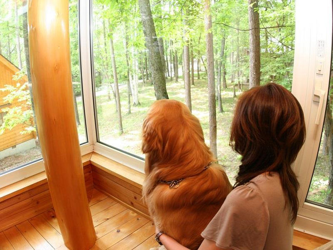 Guest Room, Wan Wan Paradise Yatsugatake, Hokuto