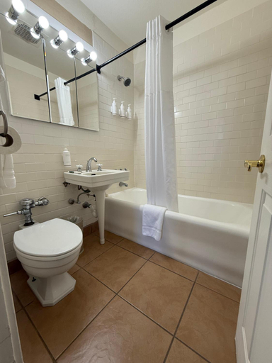 Bathroom 5, The Gadsden Hotel, Cochise