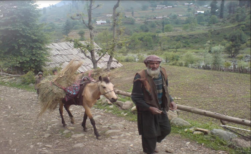 Others 4, Aru Camping Resort Aru, J&K, Anantnag