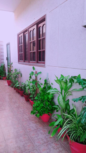 Others 4, A One Guest House Karachi, Karachi