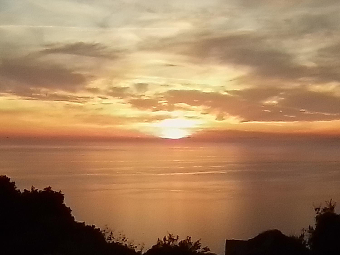 Others 4, Lavandajo, Haute-Corse