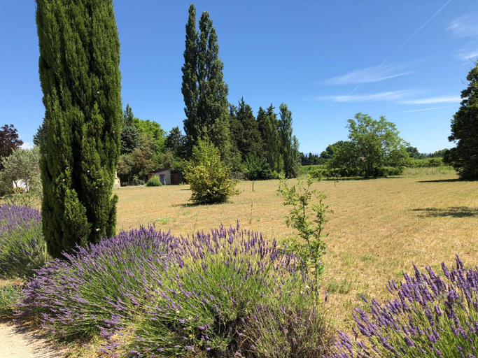 Others 4, la Caumontoise, Vaucluse