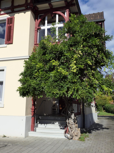 Others 4, Historische Villa im Herzen Rankweils, Feldkirch
